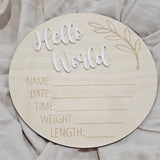 Hello World Announcement Plaque - Assorted